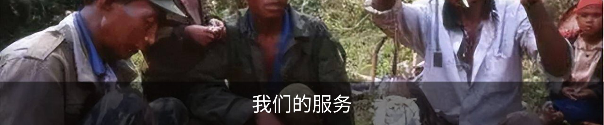我们的服务